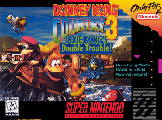 Donkey Kong Country 3 (SNES)