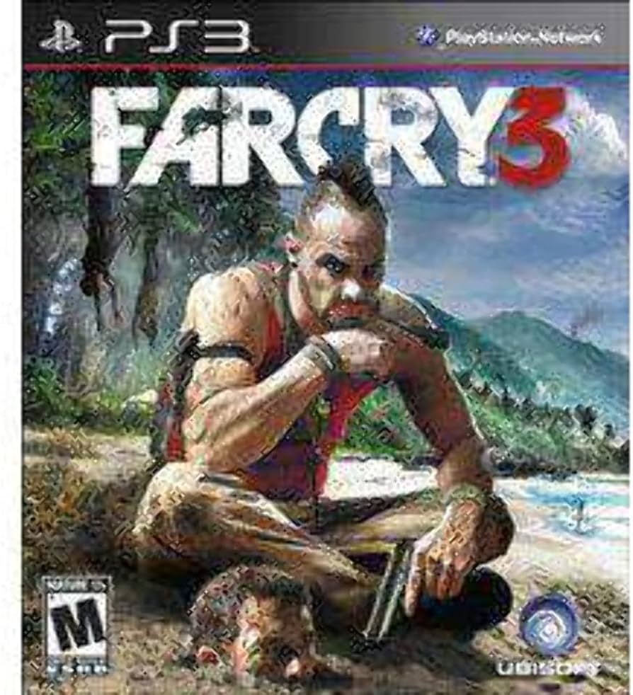 Far Cry 3 (PS3)