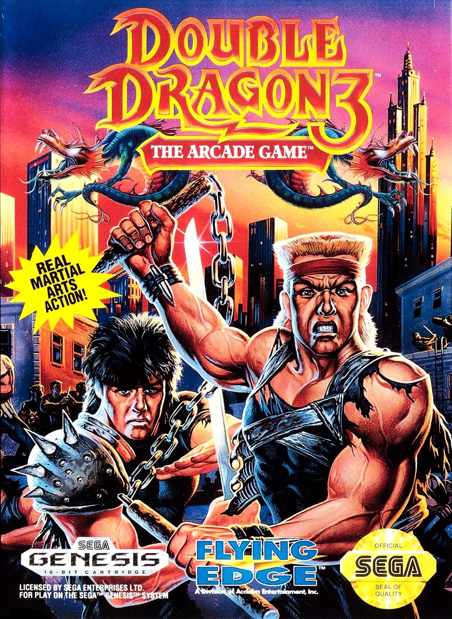 Double Dragon 3: The Arcade Game